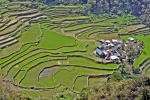 Banaue Rice Terraces, Ifugao Philippines